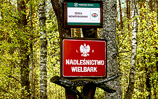 Osierocone rodzeństwo może mieszkać w leśniczówce nadleśnictwa Wielbark Osierocone rodzeństwo może mieszkać w leśniczówce nadleśnictwa Wielbark